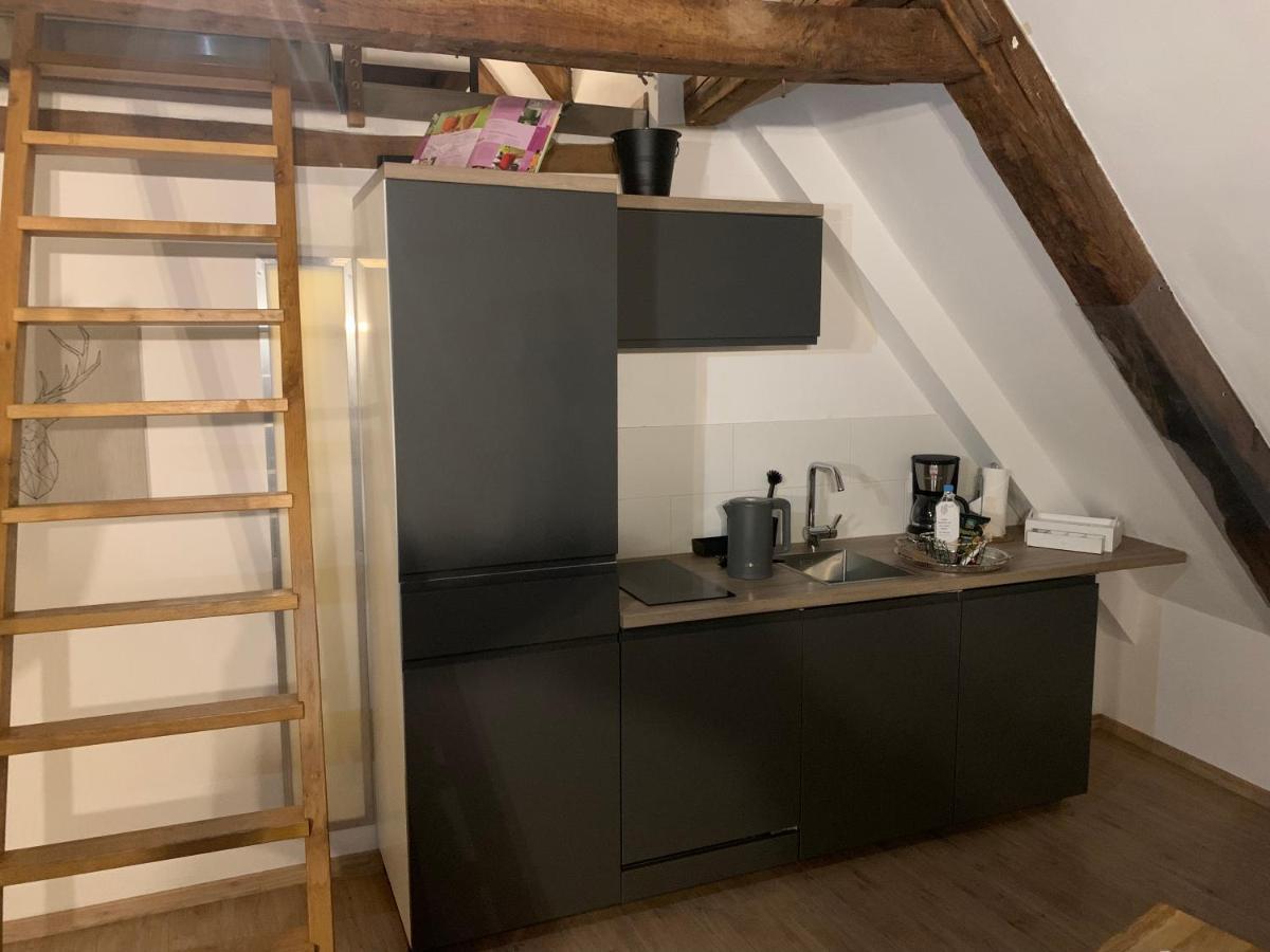 Lemperdenkmal Muenster Apartment Bagian luar foto