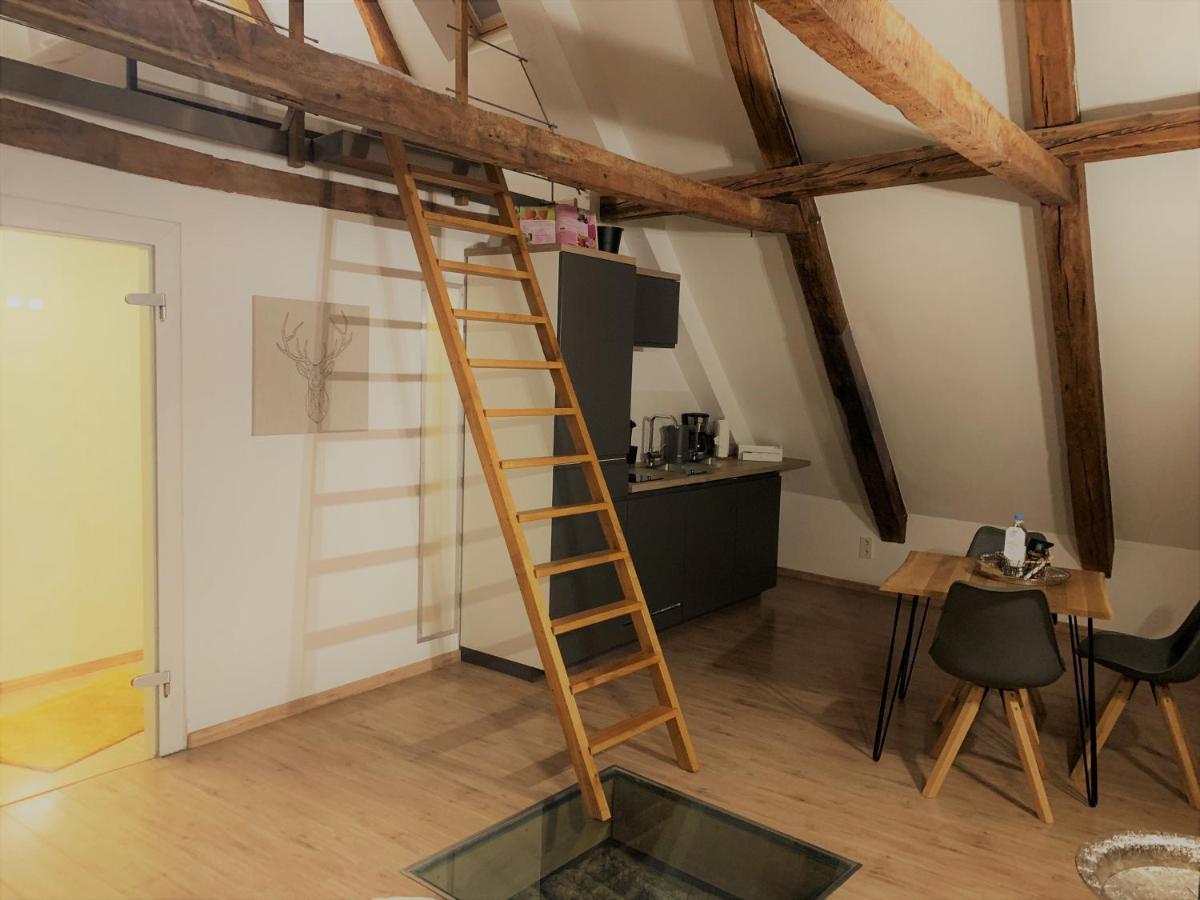 Lemperdenkmal Muenster Apartment Bagian luar foto