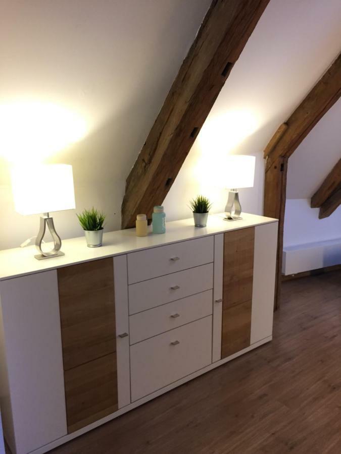 Lemperdenkmal Muenster Apartment Bagian luar foto